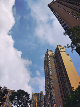 高楼大厦