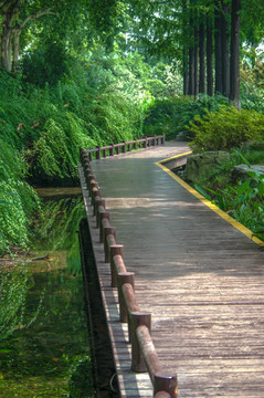 南京玄武湖水上栈道