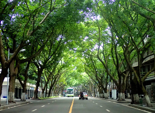 中山四路街景