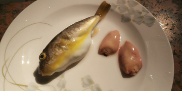 河豚