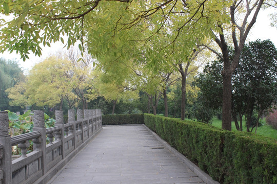 洛阳白马寺风景