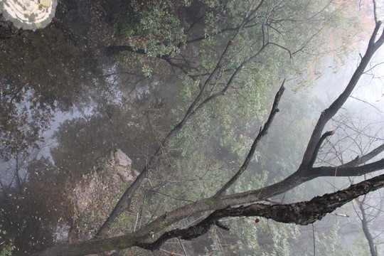 洛阳天池山云山雾绕