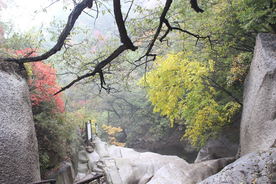 洛阳天池山