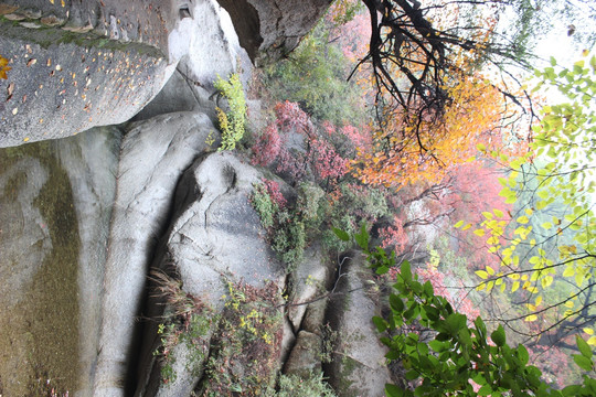洛阳天池山