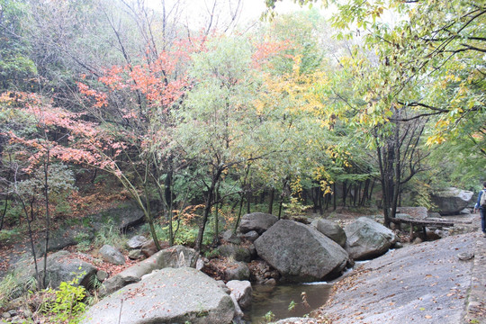 洛阳天池山