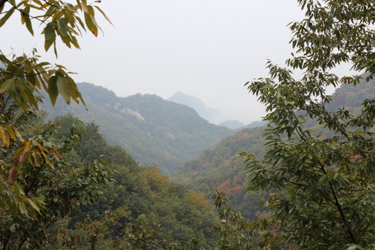 洛阳天池山