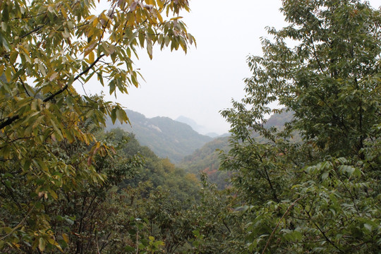 洛阳天池山