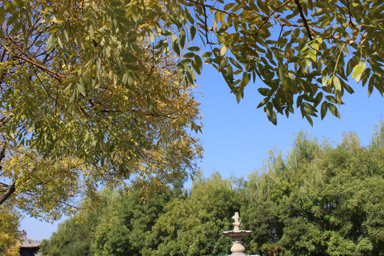 洛阳白马寺