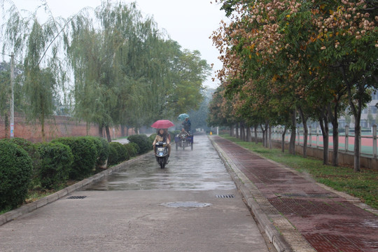 雨后校园