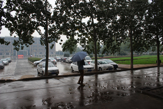 洛阳师范学院雨天倒影