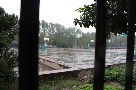 洛阳师范学院下雨天树木