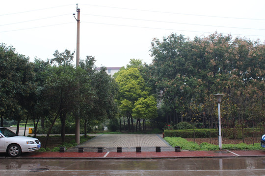 洛阳师范学院
