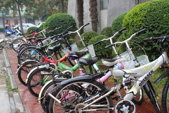 洛阳师范学院学校自行车