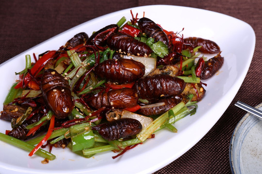 干煸蚕蛹干煸茧蛹