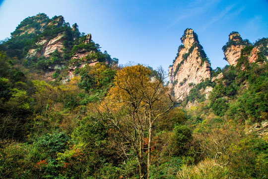 张家界武陵源天子山