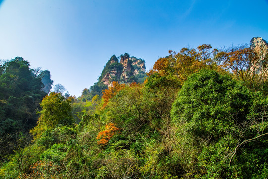 张家界武陵源天子山