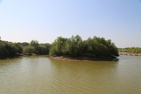 东营黄河口生态旅游区