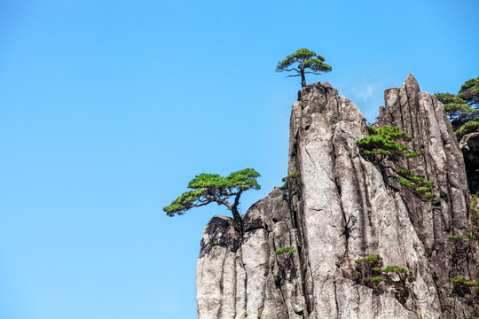 黄山风光