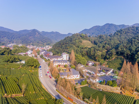 杭州西湖龙井茶园