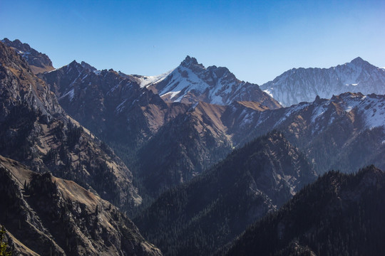 天山森林