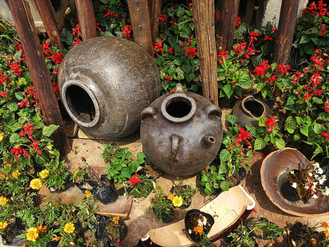 陶罐和花