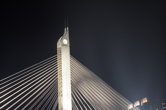 海印桥夜景