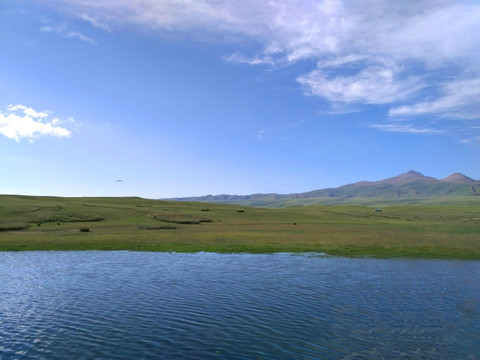 新疆巴音布鲁克草原天鹅湖风光