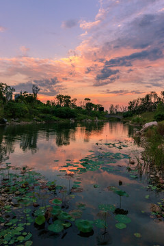 桂溪生态公园黄昏