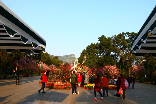 重庆南山植物园