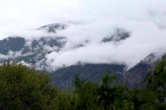 云雾缭绕的山间