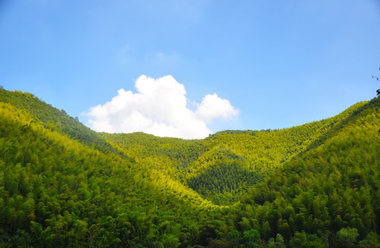 天目山风景