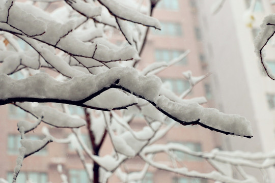 冰雪凝固的美丽线条