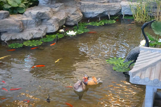 北京首都机场仿皇家园林水景