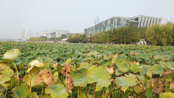 汉阳琴台大剧院