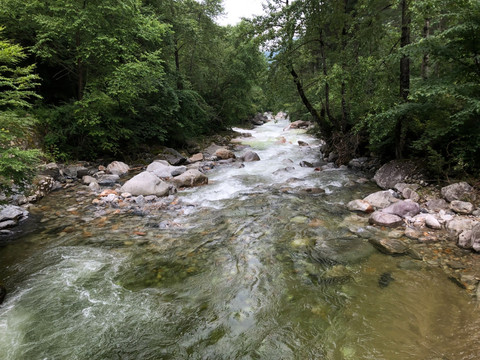 秦岭黄柏塬自然保护区