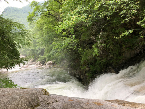 秦岭黄柏塬自然保护区