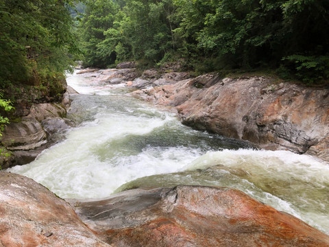 黄柏塬太白县秦岭风光溪流