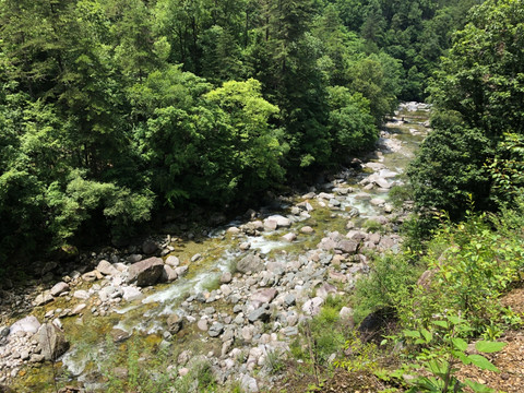 黄柏源森林秦岭山水