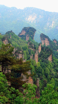 张家界袁家界天子山