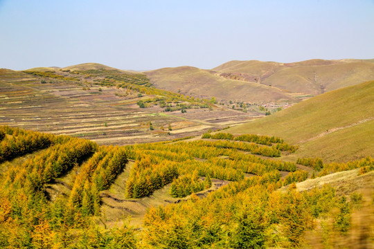 张家口草原天路