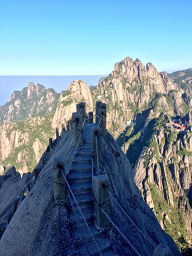 天都峰鲫鱼背