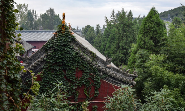 寺院建筑群摄影图