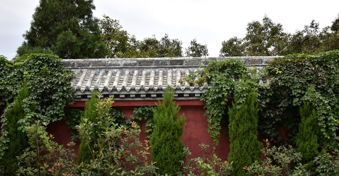 绿植掩映的围墙