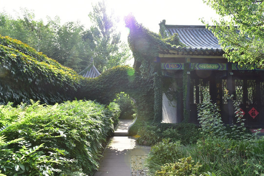 中式园林绿化