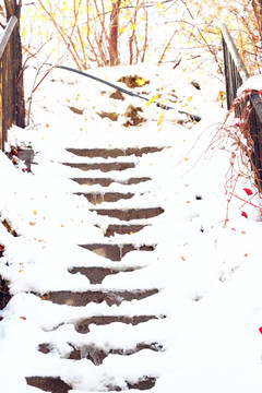 雪后楼梯