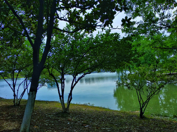 苏州白塘湖植物园