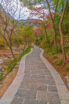 潭溪山山路