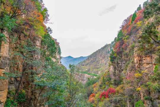 淄博潭溪山风景秋天