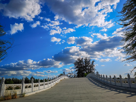 南海子公园