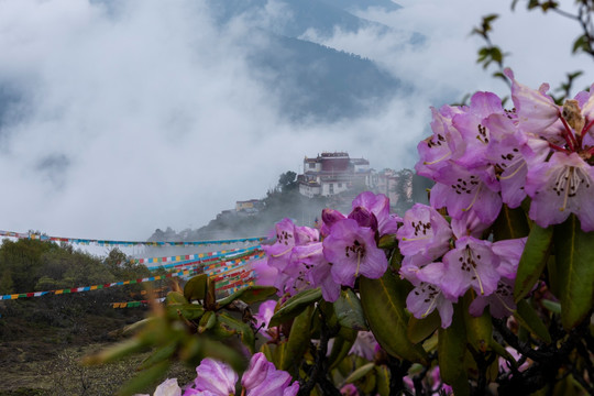 西藏山南地区卡久寺